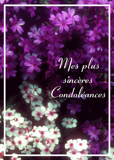 Carte Mes Plus Sincères Condoléances : Envoyer une Carte 